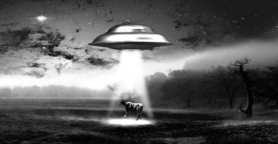 Cow_abduction
