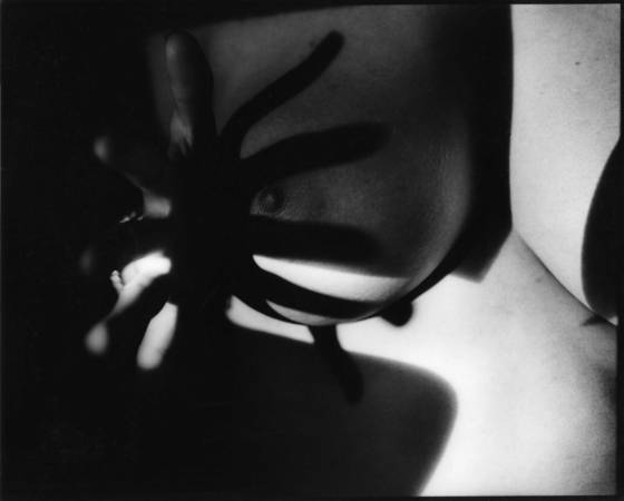 Nurturing_elements_7