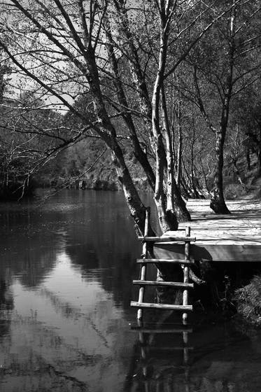 Untitled_3