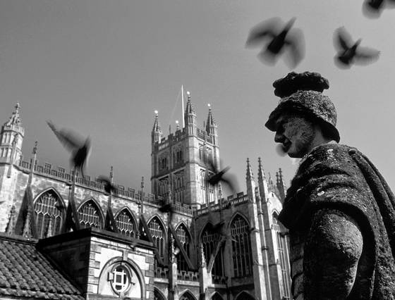Birds_over_bath_abbey