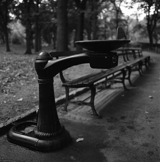 Untitled_4