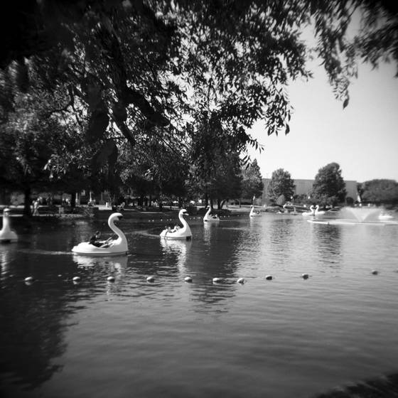 State_fair_pond