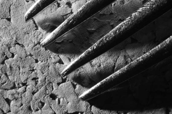 Fork_n__cork