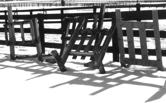Over_men_and_horses