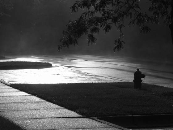 Film_noir_fire_hydrant