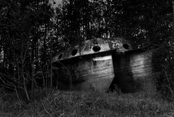 Untitled_2