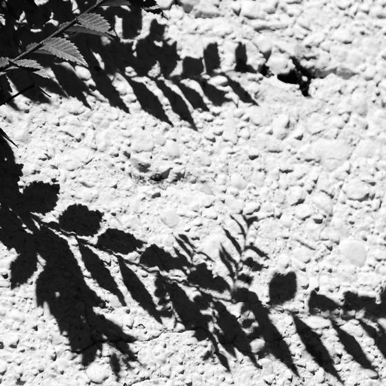 Statement_of_existance-variations_on_shadow_no_6