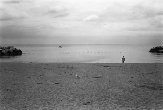 Woman_and_swimmer