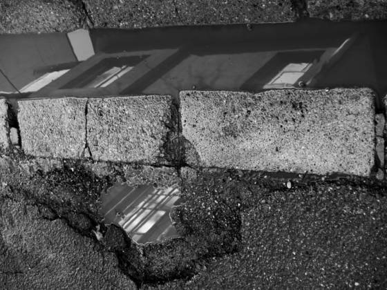 Untitled_5