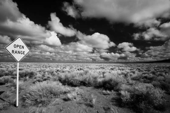 Open_range