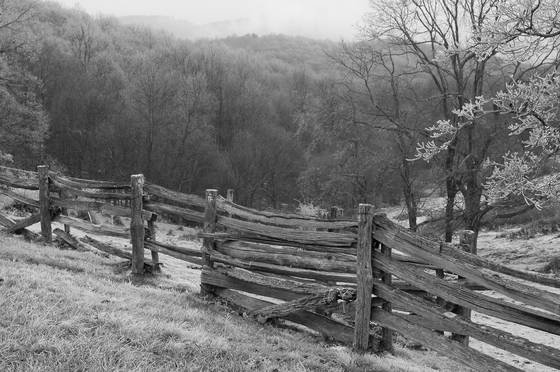 Blueridge