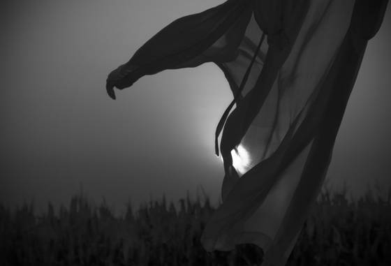 Laundry_line_02