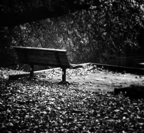 Alone_with_nature_1