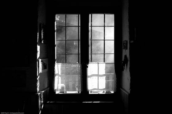 Rosy_s_window