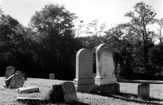 The_eternal__2