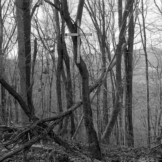 9996_sewanee_hwy