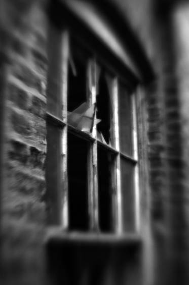 Starline_warehouse__6