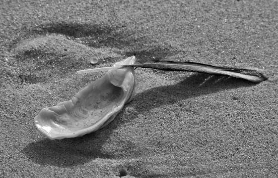 Remnants