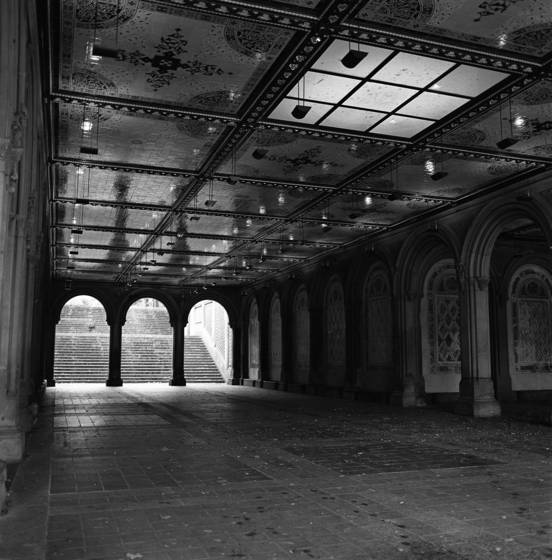 Untitled_5