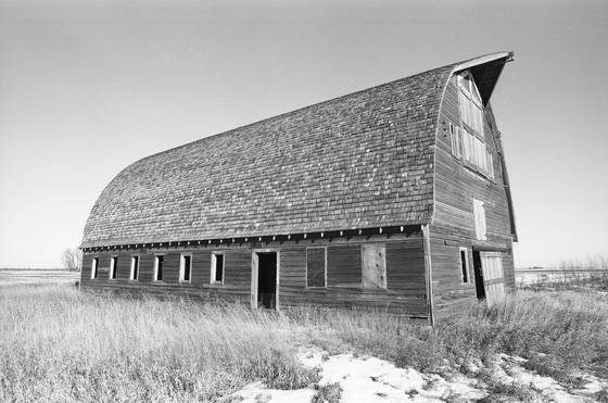 Untitled_6