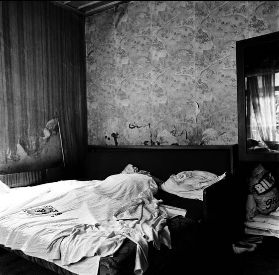 Little_magi_s_sweet_home_5