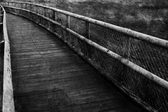 Untitled_4