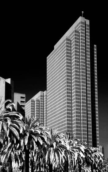 Embarcadero_and_palms