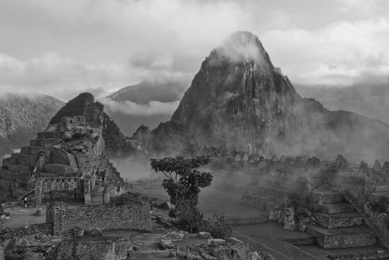 Misty_morning