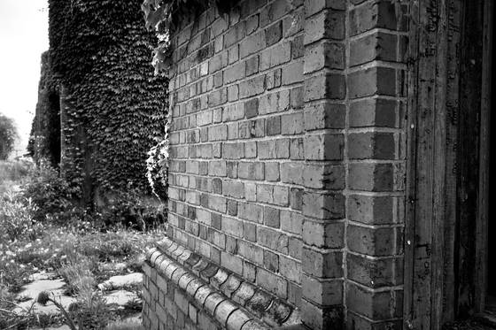 Brick_wall