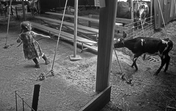 Fair_2