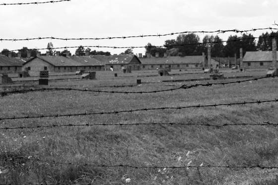 Birkenau