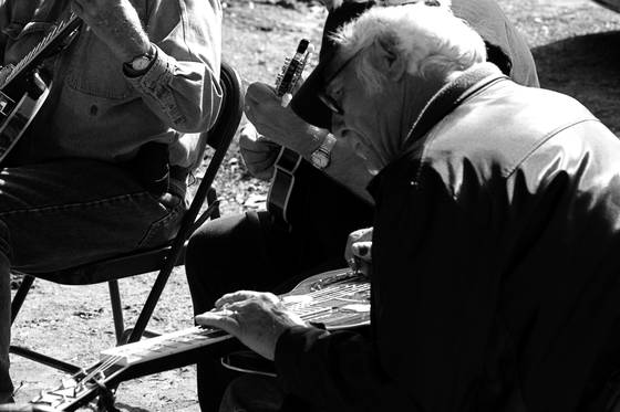 Lap_dobro