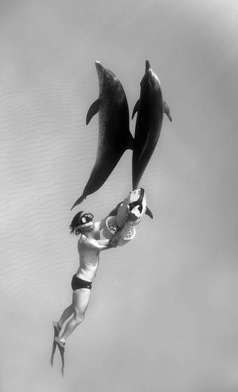 Scootering_with_dolphins
