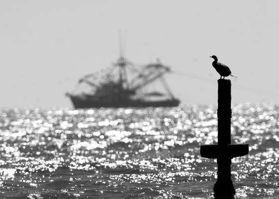 Rather_be_fishin