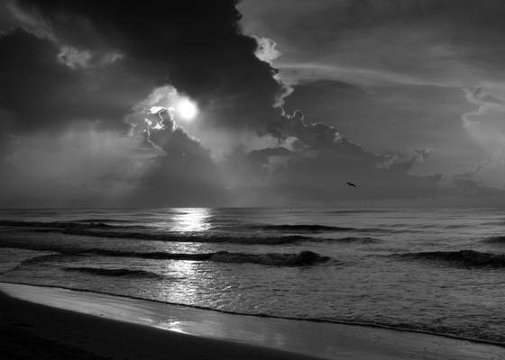 Rays
