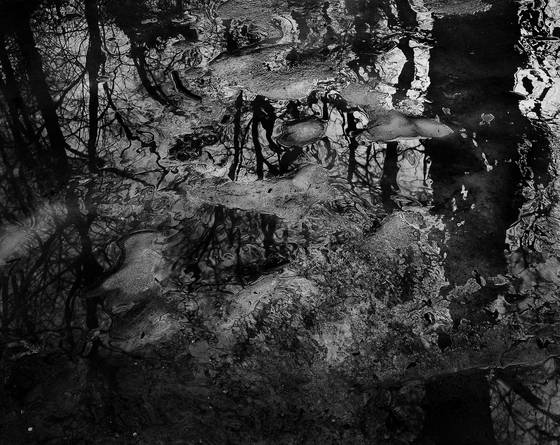 Ice_and_puddle_1