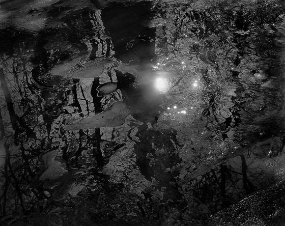 Ice_and_puddle_2