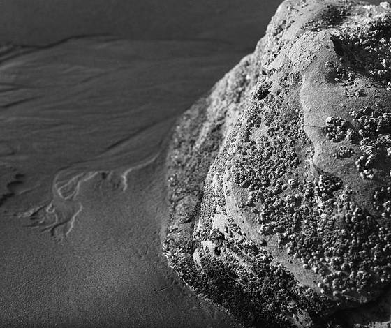 A_day_at_the_beach_3