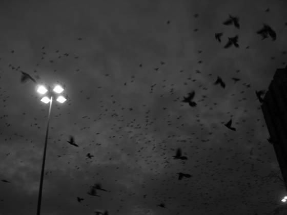 Untitled_3