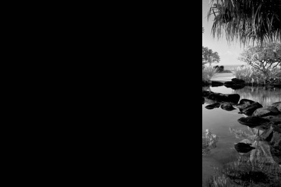 Reflection
