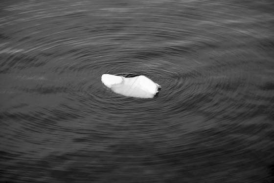 Tiny_iceberg