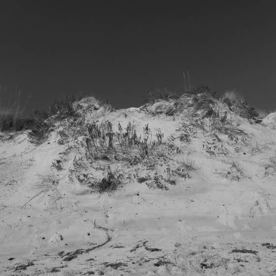 Dune