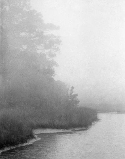 Bayou_2
