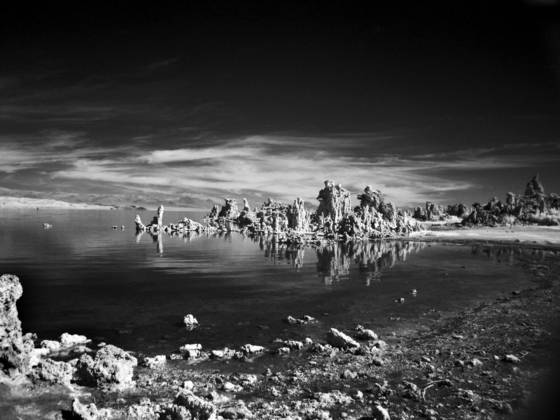 Untitled_3