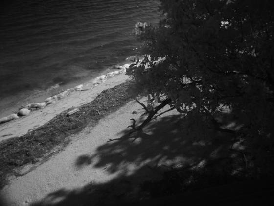 Untitled_8