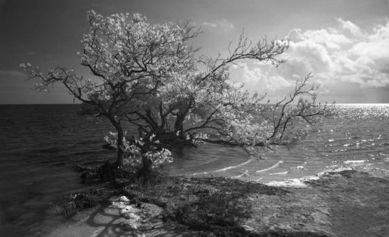 Untitled_9