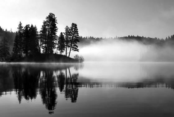 Reality_and_symmetry