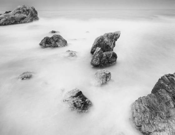 Creation_study__5