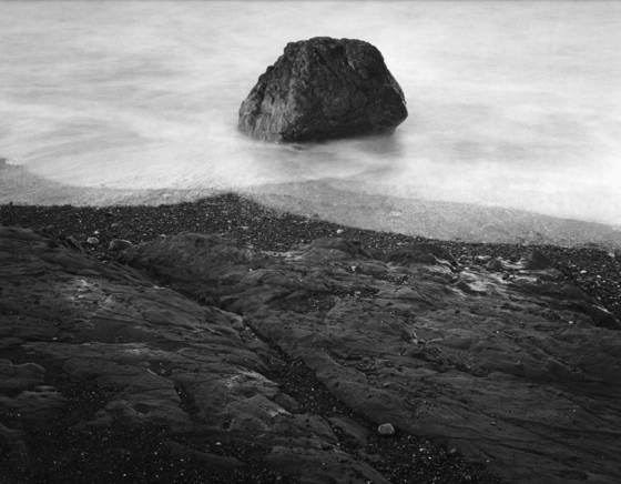 Creation_study__6
