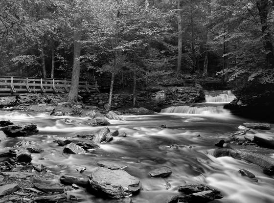 Stream